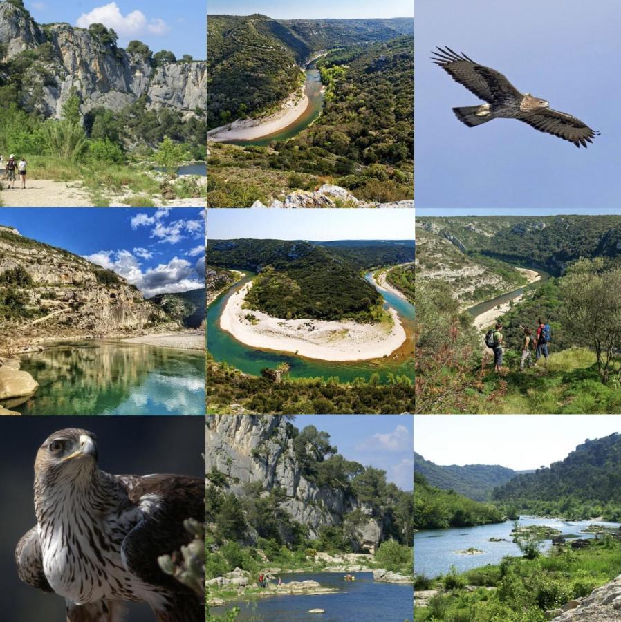 מארגריט Le Cherche Midi, Entre Nimes, Le Pont Du Gard, Uzes, Arles מראה חיצוני תמונה